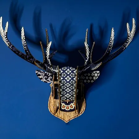 Bed & Breakfast Casa Toma