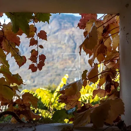 Bed & Breakfast Casa Toma Masera